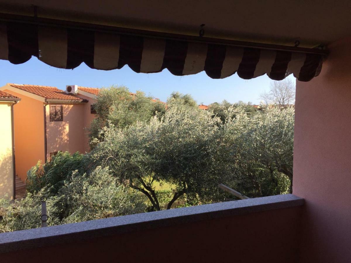 Bilocale Residence Gli Ulivi San Teodoro San Teodoro  Dış mekan fotoğraf
